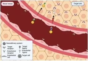 Graphical abstract